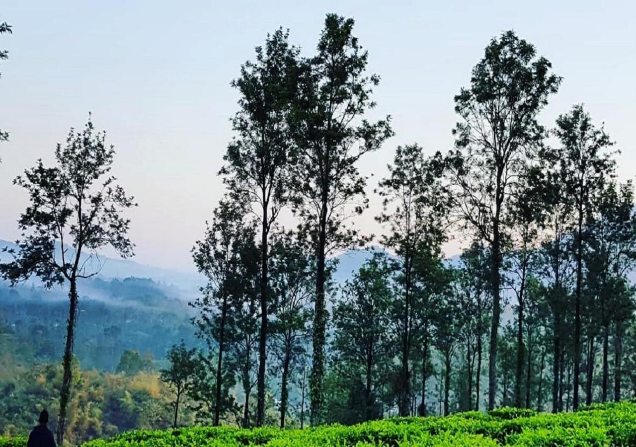 Glad Valley Wayanad By Lexstays-Tea Estate Villa 外观 照片