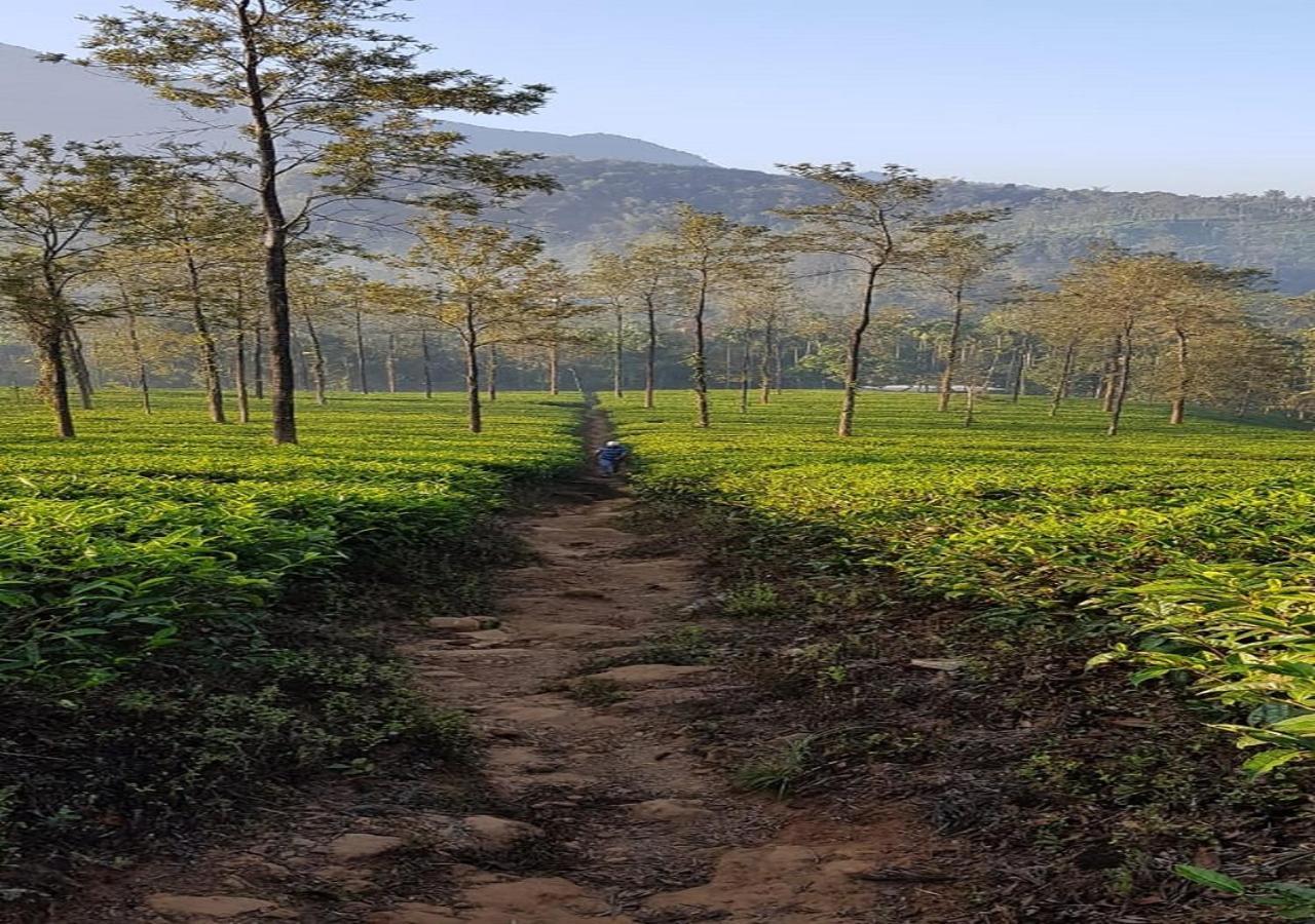 Glad Valley Wayanad By Lexstays-Tea Estate Villa 外观 照片