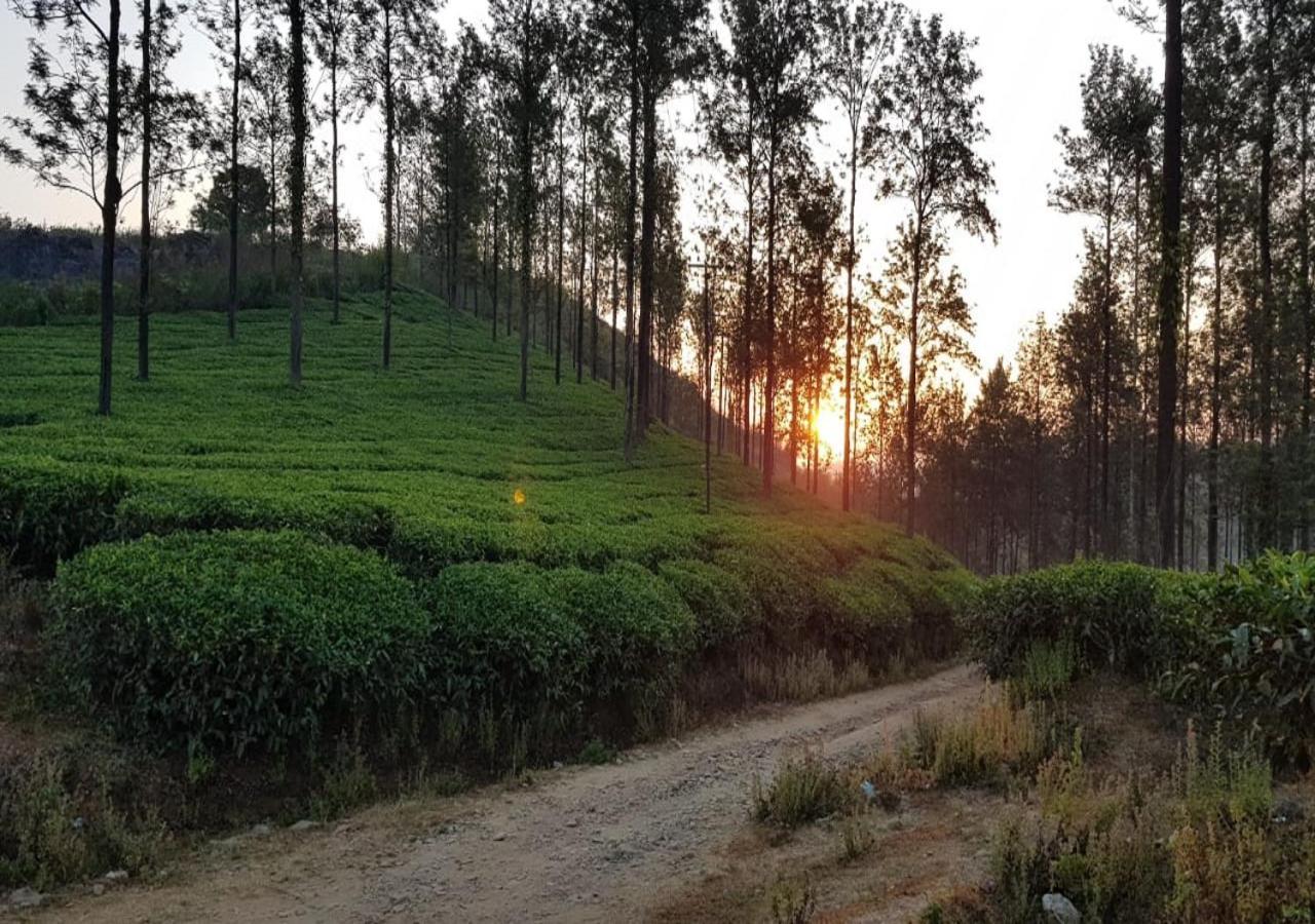 Glad Valley Wayanad By Lexstays-Tea Estate Villa 外观 照片