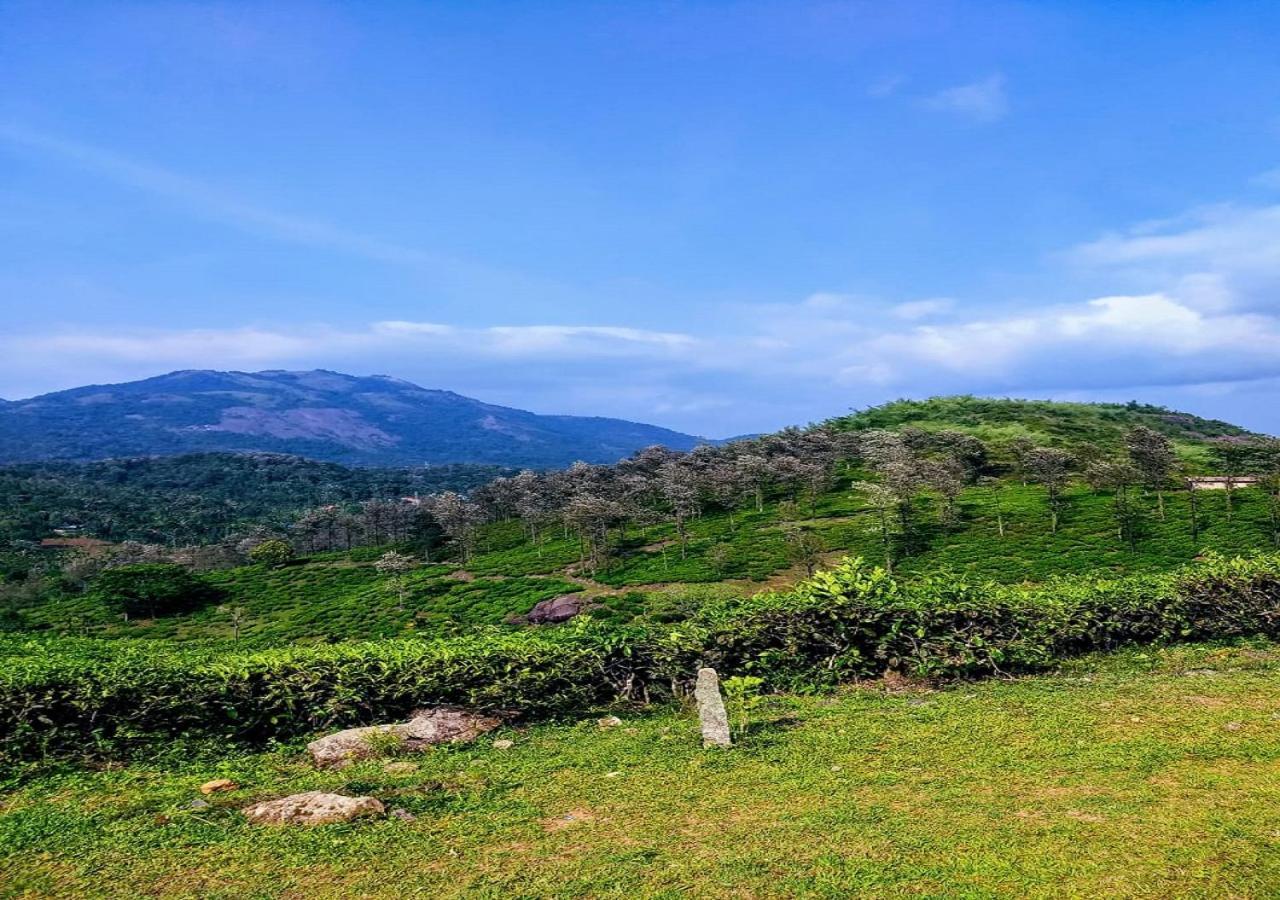 Glad Valley Wayanad By Lexstays-Tea Estate Villa 外观 照片